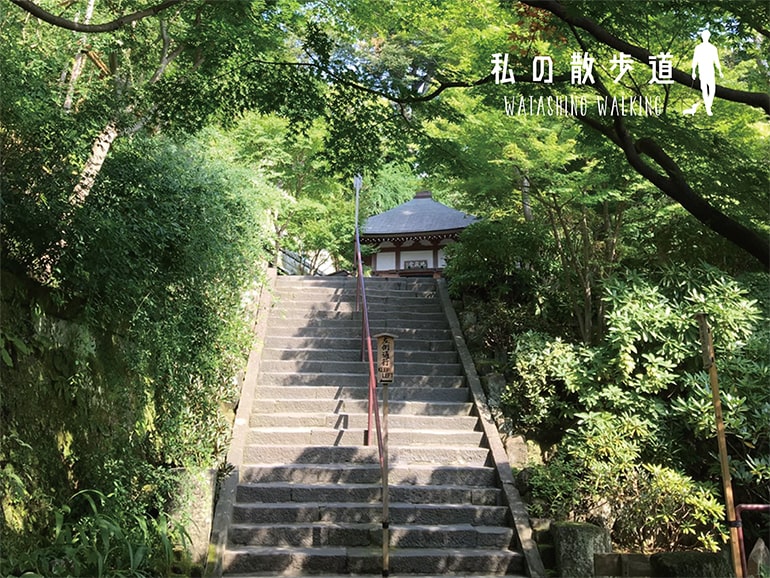 私の散歩道 WATASHINO WALKING　鎌倉日帰り旅