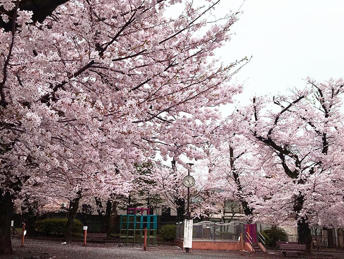 洗足池公園