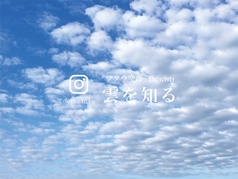【ツタウ空部プレゼンツ】 雲を知る Vol.5 高積雲（こうせきうん）
