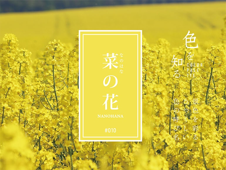 色を知る COLOR PALETTE #010 菜の花（なのはな） 景色を彩るうつくしい色の呼び名